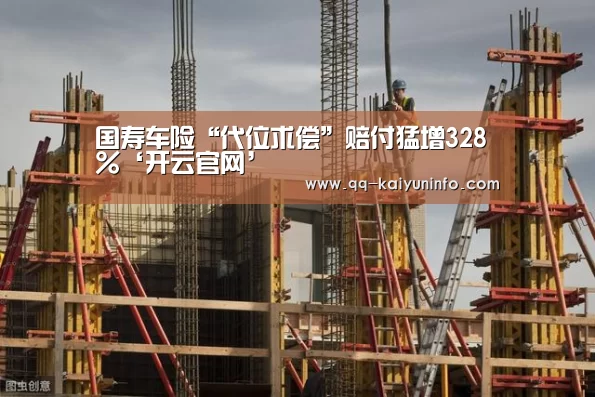 国寿车险“代位求偿”赔付猛增328%‘开云官网’(图4) 开云官网