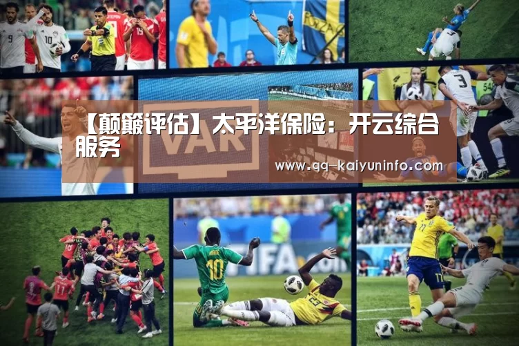 【颠簸评估】太平洋保险:开云综合服务(图2) 开云官网